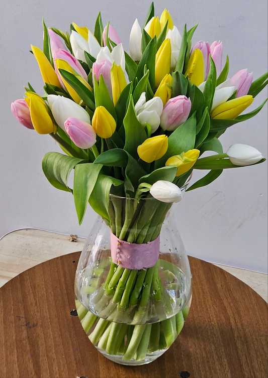 40 tulips with glasse vase